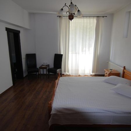 Vila Carpathia Bran  Room photo